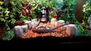 Christmas Enclosure For Ball Python Some Tips On Choosing Good Decor Pet Ball Ball Python Reptile Room