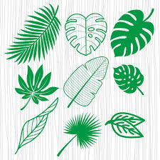 Free Free 227 Tropical Flower Leaves Svg SVG PNG EPS DXF File