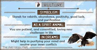 Vulture Meaning And Symbolism The Astrology Web In 2020 Spirit Animal Meaning Animal Symbolism Animal Meanings