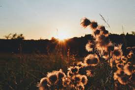 Download and use 30,000+ aesthetic wallpaper stock photos for free. Summer Vibes 1080p 2k 4k 5k Hd Wallpapers Free Download Wallpaper Flare