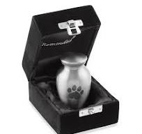 Reminded Urne funéraire pour chien et chat - Urne funéraire en forme de  patte - Très petite taille - Argenté : Amazon.ca: Animalerie