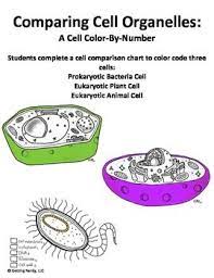 Cell Organelle Color By Number Distance Learning Digital Lesson Life Science Middle School Science Lessons Middle School Teaching Biology