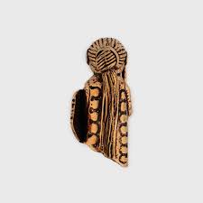 Image result for Triumfetta amuletum