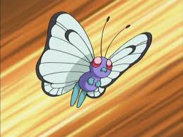 Resultado de imagem para butterfree