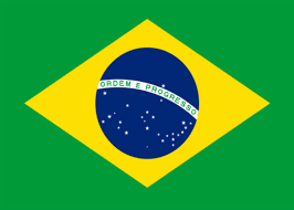 Káº¿t quáº£ hÃ¬nh áº£nh cho visa brazil cÃ´ng tÃ¡c