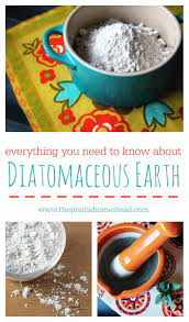 David kessler offers insight on how to effectively apply diatomaceous earth to your plants. 200g 7oz Food Grade 100 Natur Kieselgur Vegan Paleo Cleanse Detox Korper Ebay