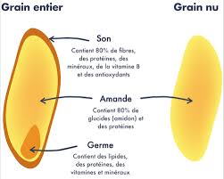 Le Pain Medecine Integree