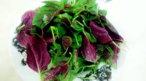 Sayur bayam jagung itu mudah sekali cara membuatnya kalau kalian mau tau kita akan menampilkan beberapa resep yang akan membuat anda ketagihan. Cara Mudah Masak Sayur Bayam Merah Youtube