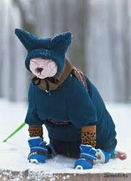 images?q=tbn:ANd9GcRNKPP7bkJOtMSM0pAwDz3IuIwuSM5LwZt4rQ&usqp=CAU