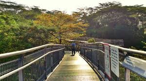 Skyline residences is a condominium in pasir panjang, singapore. Telok Blangah Hill Park Parks Nature Reserves Gardens Parks Nature National Parks Board Nparks