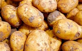 Choisissez un emplacement ensoleillé dans un sol humifère profond et meuble sur une forte épaisseur. Planter Des Pommes De Terre Comment Et Quand Le Faire