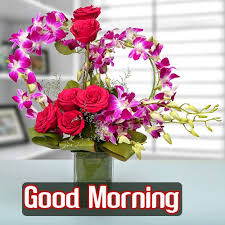 Friends, good morning quotes play a very important role in our life. Good Morning Flowers Download Image Nothing Special