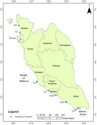 Home furnishing, home and office renovation, 1 stop centre for. Application Of Enrichment Factor Geoaccumulation Index And Ecological Risk Index In Assessing The Elemental Pollution Status Of Surface Sediments Springerlink