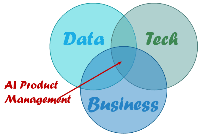 What is an AI Product Manager? - Data Science PM