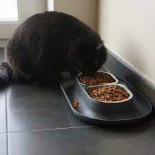 Nomnom Crumb Catching Cat Bowl Pet Bowls Healthy Cat Food Cat Dishes