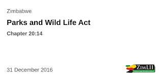 Image result for Bivinia jalbertii