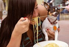 So, much like carrots, you can. People Foods Your Dog Can Eat Pictures