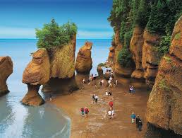 The Rocks Bay Of Fundy New Brunswick Canada Low Tide