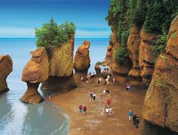 the rocks bay of fundy new brunswick canada low tide