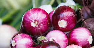 Penanaman bawang merah dalam pasu. Cara Dan Tips Menanam Bawang Merah Tokopedia Blog