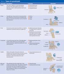 Identify the main muscles of the body, using the accompanying diagram; Skeletal System 2 Structure And Function Of The Musculoskeletal System Nursing Times