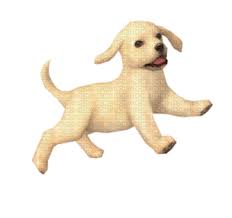 When you enter a dog in a . Nintendogs Dog Nintendogs Dog Puppy Chien Picmix