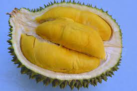 10 popular durian stores in singapore. 5 Tips On How To Spot A Mao Shan Wang Msw Musang King Durian çŒ«å±±çŽ‹ Johor Kaki Travels For Food