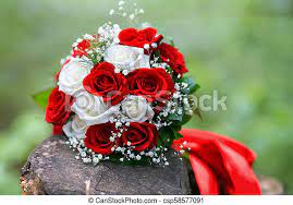 2057 237 flower nature flora. Nice Flower Bouquet Close Up Of Bridal Bouquet Of Roses For Wedding Day Place For Text Canstock