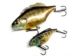 霞ケ浦シークレットビッグベイト？ | Top Secret | IMAKATSU