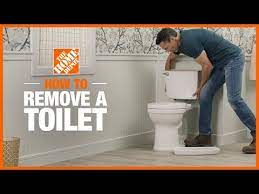 This toilet is actually 17 inches tall from seat to floor not 16.5. The Best Toilet For Your Home The Home Depot