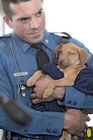At Sterling shelter, troopers reconnect with dogs rescued from Puerto Rico