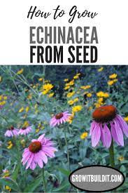 Pin On Native Plant Gardening