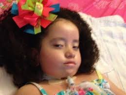 Fundraiser by Zoey Kingston : Princess Bear Needs New Equipment