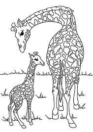 Kostenlose arbeitsblätter und unterrichtsmaterial zum ausdrucken für sachunterricht in der 1. 20 Besten Ausmalbilder Tiere Zoo Beste Wohnkultur Bastelideen Coloring Und Frisur Inspiration Ausmalbilder Tiere Malvorlagen Tiere Tiere Zum Ausmalen