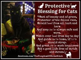 Cat Protection Folk Hoodoo Herbs Botanical Ritual Spell Magick Magic Witchcraft Witchyway Whitewitch Wi Cat Spirit Candle Spells White Witchcraft