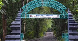Namun, untuk biaya test cat seorang. Pemandian Air Panas Sangkanurip Manjakan Diri Di Kolam Renang Luncuran Naga Tempat Me
