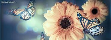 The themes of nature are ever loveable and the natural entities are the most dazzling thing to do with them makes it quick and simple to find the best fb covers.merely check through our selection of completely free cover photos, prefer the one you like, and click the install on the facebook button. Lovely Butterfly And Flowers Facebook Cover Fall Facebook Cover Photos Facebook Cover Images Facebook Cover Photos Love