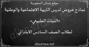 درس النبات الطبيعي للصف السادس الابتدائي بستان السعودية
