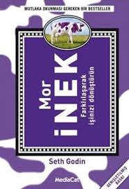 Mor Inek Seth Godin Kitap Kitap Okuma