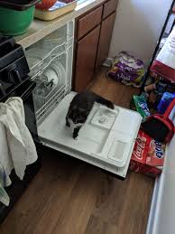 Pale grey kitchen with wood worktop ukrainian keyboard plug. Https Imgur Com Gallery Eqzsn5v Daily Https Imgur Com Skvx53l Jpg 2018 04 22t18 00 06 662z Https Imgur Com Gallery Yigznfk Daily Https Imgur Com W4q4isf Jpg Cats Kitteh 2018 04 22t18 00 06 665z Https Imgur Com Gallery Dwqkse5 Daily Https
