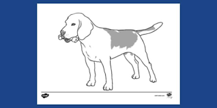 36+ beagle dog coloring pages for printing and coloring. Free Beagle Dog With Bone Colouring Sheet Colouring Sheets