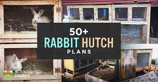 Simply easy diy also lists how you need to cut all the materials, such as the frame, roof, and door, to make them fit together. 50 Diy Rabbit Hutch Plans To Get You Started Keeping Rabbits
