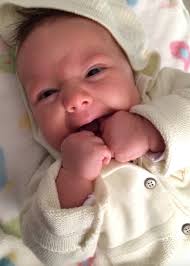 Francisco Wanderley Garcia Paula-Silva's lab