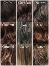 20 Best Ideas For Hair Dyed Ideas Colorful Shades Coffee Hair Hair Styles Hair Color Shades