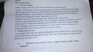 Jun 26, 2021 · macam akibat kelainan sistem hormon. Sebutkan Dan Jelaskan 5 Macam Kelainan Tulang Pada Manusia Rasanya