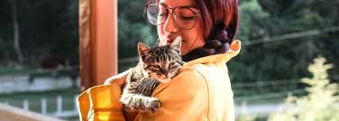 Occasionally, cat owners opt for a cat memorial over cremation. Pittsburgh Pet Cremation Pet Cremation In Pittsburgh Dog Cat