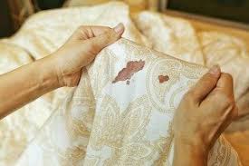 How to remove stains from clothes at home better than the dry cleaner. How To Remove Blood From Sheets Frugally Blonde