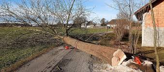 In fact, we have found 121 tree removal dependable tree removal atlanta, which is located at 191 peachtree st ne ste 2500, atlanta ga 30303 has a solid reputation for their tree. 2021 Tree Removal And Emergency Removal Cost