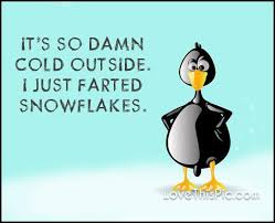 So Cold Funny Quotes Quote Winter Snow Humor Funny Cold Weather Quotes Weather Quotes Cold Weather Funny