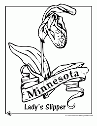 If you looking for idaho state symbols coloring pages idaho state symbol coloring page by crayola print or color online and you feel this is useful, you must share this image to your friends. Idaho State Flower Coloring Page Coloring Home